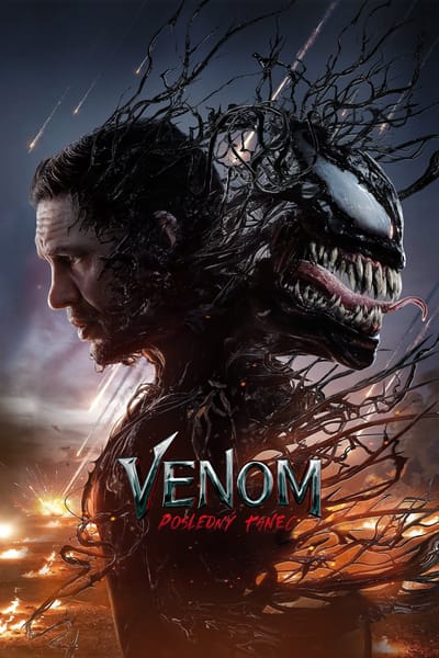 Movie banner